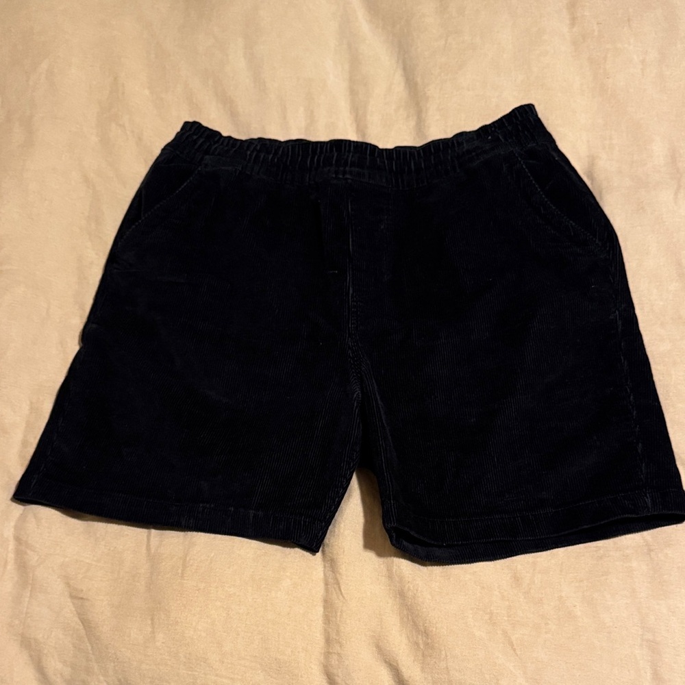 The North Face Men's Black Flat Front Shorts
